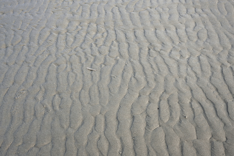 Zandwater / Schiermonnikoog